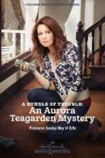 Watch A Bundle of Trouble: An Aurora Teagarden Mystery Vodly