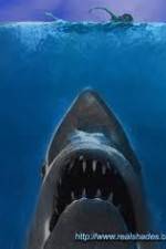 Watch Jaws: The True Story Vodly