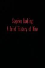 Watch Stephen Hawking A Brief History of Mine Vodly