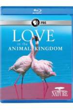 Watch Nature: Love in the Animal Kingdom Vodly