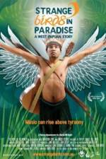 Watch Strange Birds in Paradise A West Papuan Story Vodly