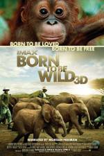 Watch Born to Be Wild Vodly