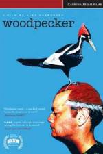 Watch Woodpecker Vodly