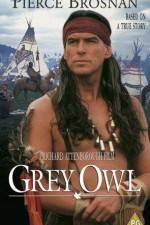 Watch Grey Owl Vodly