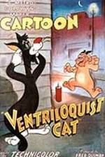 Watch Ventriloquist Cat Vodly