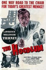 Watch The Hoodlum Vodly