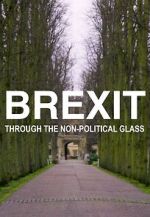 Watch Brexit Through the Non-Political Glass Vodly