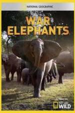 Watch War Elephants Vodly