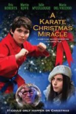 Watch A Karate Christmas Miracle Vodly