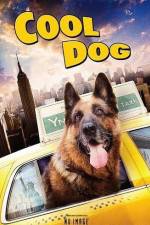 Watch Cool Dog Vodly