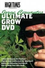 Watch High Times: Jorge Cervantes Ultimate Grow Vodly