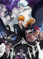 Watch Bleach the Movie 2: The Diamond Dust Rebellion Vodly