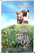 Watch Milo and Otis Vodly