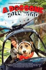 Watch A Doggone Hollywood Vodly