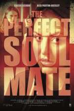 Watch The Perfect Soulmate Vodly