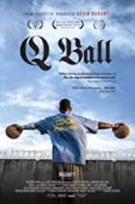 Watch Q Ball Vodly