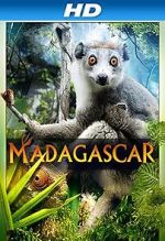 Watch Madagascar 3D Vodly