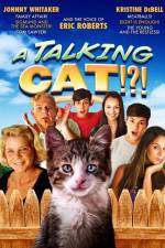 Watch A Talking Cat!?! Vodly