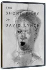 Watch The Short Films of David Lynch Vodly