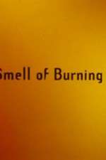 Watch The Smell of Burning Ants Vodly