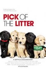 Watch Pick of the Litter Vodly