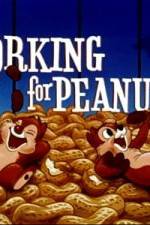 Watch Working For Peanuts Vodly