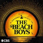 Watch A Grammy Salute to the Beach Boys Vodly