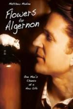 Watch Flowers for Algernon Vodly