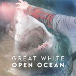 Watch Great White Open Ocean Vodly