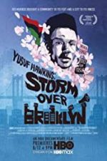 Watch Yusuf Hawkins: Storm Over Brooklyn Vodly