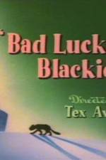 Watch Bad Luck Blackie Vodly