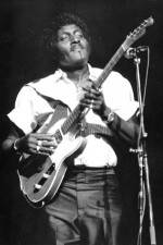 Watch Albert Collins in Concert Vodly