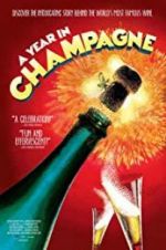 Watch A Year in Champagne Vodly