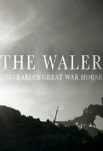 Watch The Waler: Australia\'s Great War Horse Vodly