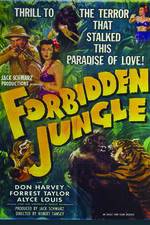 Watch Forbidden Jungle Vodly