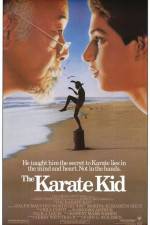 Watch The Karate Kid Vodly