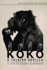 Watch Koko, le gorille qui parle Vodly
