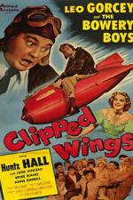 Watch Clipped Wings Vodly