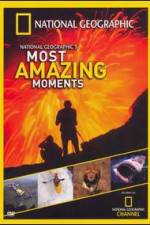 Watch National Geographics Most Amazing Moments Vodly