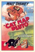 Watch Cat Nap Pluto Vodly