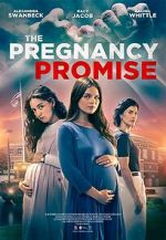 Watch The Pregnancy Promise Vodly