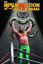 Watch The Resurrection of Jake The Snake Roberts Vodly