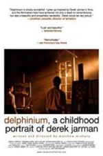 Watch Delphinium: A Childhood Portrait of Derek Jarman Vodly