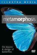 Watch Metamorphosis: The Beauty and Design of Butterflies Vodly