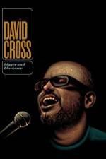 Watch David Cross Bigger & Blackerer Vodly