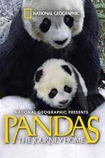 Watch Pandas: The Journey Home Vodly