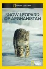 Watch Snow Leopard of Afghanistan Vodly