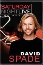 Watch Saturday Night Live The Best of David Spade Vodly