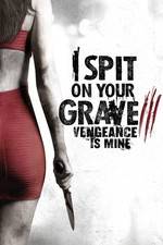 Watch I Spit on Your Grave 3 Vodly