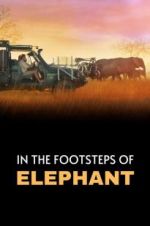 Watch In the Footsteps of Elephant Vodly